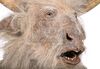Lot #68 - THE CHRONICLES OF NARNIA: PRINCE CASPIAN (2008) - Minotaur Full Creature Costume and Mask Display - 13