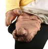 Lot #83 - DINOSAURS (T.V. SERIES, 1991 - 1994) - Full-size Baby Sinclair Puppet - 4