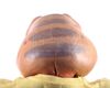 Lot #83 - DINOSAURS (T.V. SERIES, 1991 - 1994) - Full-size Baby Sinclair Puppet - 13