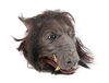 Lot #400 - WILLOW (1988) - Full-size Death Dog Puppet Head