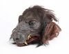 Lot #400 - WILLOW (1988) - Full-size Death Dog Puppet Head - 3