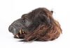 Lot #400 - WILLOW (1988) - Full-size Death Dog Puppet Head - 4