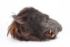 Lot #400 - WILLOW (1988) - Full-size Death Dog Puppet Head - 7