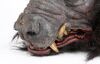 Lot #400 - WILLOW (1988) - Full-size Death Dog Puppet Head - 9