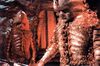 Lot #545 - DOCTOR WHO: TERROR OF THE ZYGONS (T.V. SERIES, 1975) - Hand-drawn James Acheson "Broton" Costume Design - 9