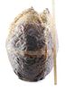 Lot #16 - ALIENS (1986) - Xenomorph Egg - 6