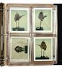 Lot #345 - STAR WARS: RETURN OF THE JEDI (1983) - Creature Art and Models Bible - 13