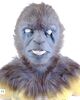 Lot #407 - X-MEN: FIRST CLASS (2011) - Beast's (Nicholas Hoult) Costume Components - 16