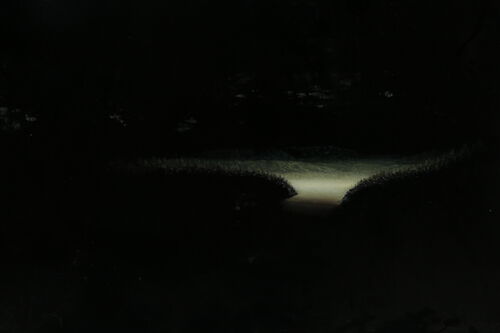 Lot #510 - CLOSE ENCOUNTERS OF THE THIRD KIND (1977) - Hand-painted Matthew Yuricich Mothership Landing Matte Painting