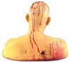 Lot #520 - CSI: CRIME SCENE INVESTIGATION (T.V. SERIES, 2000 - 2015) - Gil Grissom's (William Petersen) "Golf Man" Head - 4
