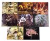 Lot #526 - THE DARK CRYSTAL (1982) - Set of Production Photography Slides and Prints - 2