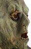 Lot #529 - DAY OF THE DEAD (1985) - Background Zombie Mask - 7