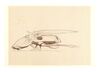 Lot #549 - DUNE (UNPRODUCED) - Pair of Hand-Drawn Ron Cobb Ornithopter Concept Sketches - 4