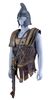 Lot #1070 - TROY (2004) - Battle-damaged Myrmidon Costume - 3