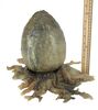 Lot #7 - ALIENS (1986) - Xenomorph Egg with Base - 7