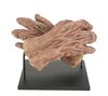 Lot #106 - THE FIFTH ELEMENT (1997) - Mangalore Head and Hands - 13