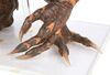 Lot #147 - GREMLINS 2: THE NEW BATCH (1990) - Gremlin Puppet - 16