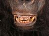 Lot #149 - TARZAN AND THE LOST CITY (1998) - Ape Mask and Suit - 4