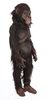 Lot #149 - TARZAN AND THE LOST CITY (1998) - Ape Mask and Suit - 5