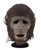 Lot #150 - TARZAN AND THE LOST CITY (1998) - Ape Mask