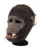 Lot #150 - TARZAN AND THE LOST CITY (1998) - Ape Mask - 6