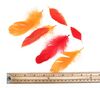 Lot #167 - HARRY POTTER AND THE DEATHLY HALLOWS: PART 2 (2011) - Set of Fawkes Feathers - 5