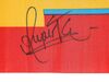 Lot #168 - HARRY POTTER AND THE DEATHLY HALLOWS: PART 1 & PART 2 (2010-2011) - Daniel Radcliffe and Main Cast-autographed Replica Wands and Gryffindor Banner - 18