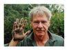 Lot #189 - VARIOUS PRODUCTIONS - Harrison Ford-autographed Handprint - 4