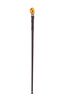 Lot #219 - JURASSIC WORLD: FALLEN KINGDOM (2018) - Benjamin Lockwood's (James Cromwell) Stunt Cane - 2
