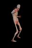 Lot #268 - PAN'S LABYRINTH (2006) - Full-size Pale Man Display Figure - 5