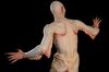 Lot #268 - PAN'S LABYRINTH (2006) - Full-size Pale Man Display Figure - 21