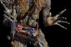 Lot #269 - PAN'S LABYRINTH (2006) - Full-size Faun Display Figure - 10