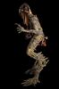 Lot #269 - PAN'S LABYRINTH (2006) - Full-size Faun Display Figure - 18