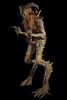 Lot #269 - PAN'S LABYRINTH (2006) - Full-size Faun Display Figure - 19