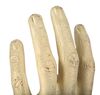 Lot #304 - STAR TREK: THE NEXT GENERATION (T.V. SERIES, 1987 - 1994) - Data's (Brent Spiner) Hand and Sleeve - 12