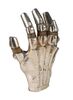 Lot #333 - STAR WARS: THE EMPIRE STRIKES BACK (1980) - C-3PO's (Anthony Daniels) Hand - 4