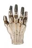 Lot #333 - STAR WARS: THE EMPIRE STRIKES BACK (1980) - C-3PO's (Anthony Daniels) Hand - 7
