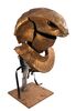 Lot #358 - STARGATE SG-1 (T.V. SERIES, 1997 - 2007) - Apophis' (Peter Williams) Mechanical Headdress - 6