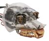 Lot #411 - 101 DALMATIANS (1996) - Animatronic Raccoon Head - 2