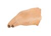 Lot #453 - BATMAN RETURNS (1992) - The Penguin's (Danny DeVito) Prosthetic Hand Appliances - 2