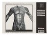 Lot #466 - BATMAN BEGINS (2005) - Wayne Enterprises Applied Sciences Division Batsuit, Grapple Gun and Harness Designs - 3