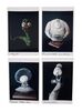 Lot #517 - CORPSE BRIDE (2005)/FRANKENWEENIE (2012)/DARK SHADOWS (2012) - Collection of Production Puppet Photos - 4