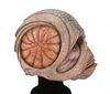 Lot #537 - DOCTOR WHO: THE RINGS OF AKHATEN (T.V. SERIES, 2013) - Four Background Market Creature Heads - 19