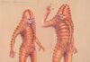 Lot #545 - DOCTOR WHO: TERROR OF THE ZYGONS (T.V. SERIES, 1975) - Hand-drawn James Acheson "Broton" Costume Design - 3
