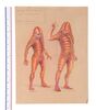 Lot #545 - DOCTOR WHO: TERROR OF THE ZYGONS (T.V. SERIES, 1975) - Hand-drawn James Acheson "Broton" Costume Design - 7