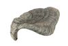 Lot #583 - FIVE CHILDREN AND IT (2004) - Psammead Shell - 3