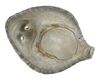 Lot #583 - FIVE CHILDREN AND IT (2004) - Psammead Shell - 9