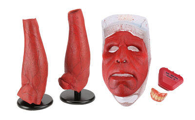 Lot #637 - HELLBOY II: THE GOLDEN ARMY (2008) - Hellboy (Ron Perlman) Face, Teeth and Arms