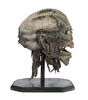 Lot #703 - JEEPERS CREEPERS 2 (2003) - The Creeper's (Jonathan Breck) Throwing Head - 4