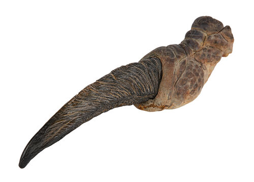 Lot #722 - JURASSIC PARK (1993) - Velociraptor Front Claw